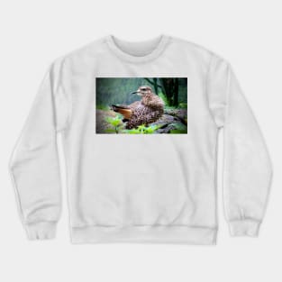 Spotted Dikkop Crewneck Sweatshirt